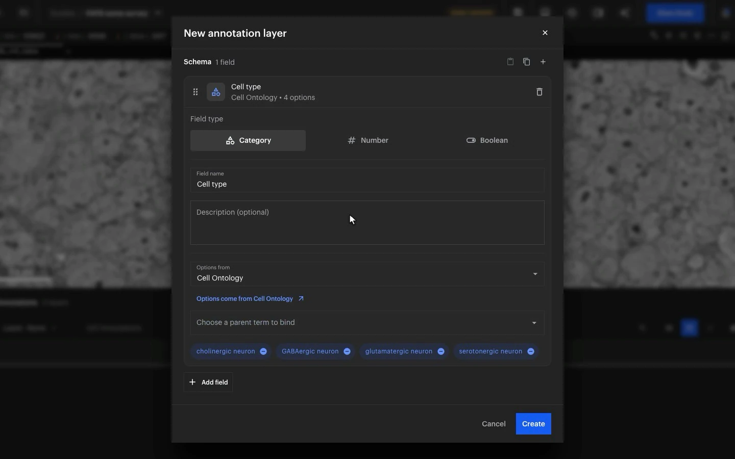 The New annotation layer dialog: a Cell type field bound to the Cell Ontology, with cholinergic, GABAergic, glutamatergic and serotonergic neuron as its options.