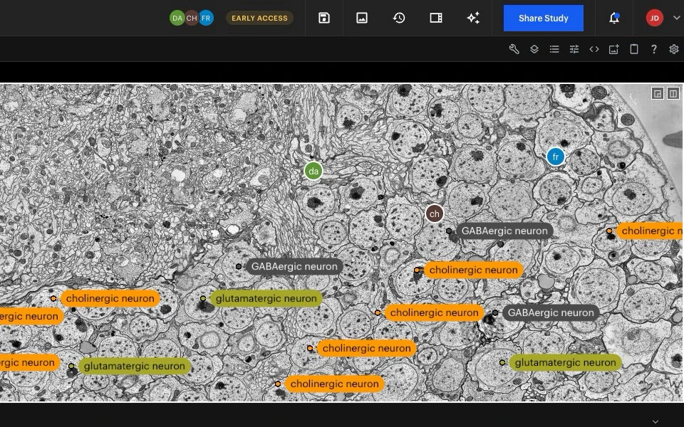 Colleagues' cursors (da, ch, fr) on the same annotation layer and their avatars in the header, the cells labelled by type.